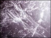 Microscopic image of cut marks on a 1 million year old fossil bone