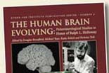 Human Brain Evolving book cover