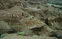 Excavation at Gona, Ethiopia