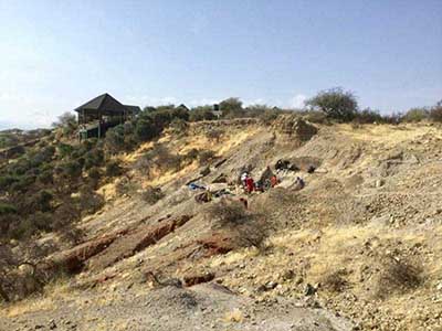 Excavation at HEB Site