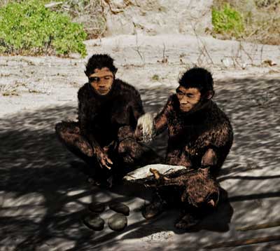 Image of Homo erectus scene