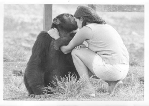 Linda Marchant with chimpanzee