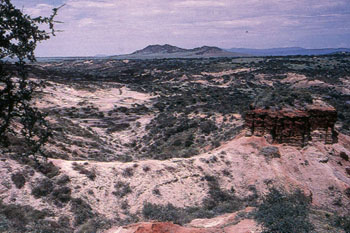 Olduvai Gorge, Tanzania