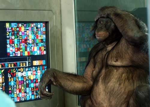 Panbanisha at touchscreen