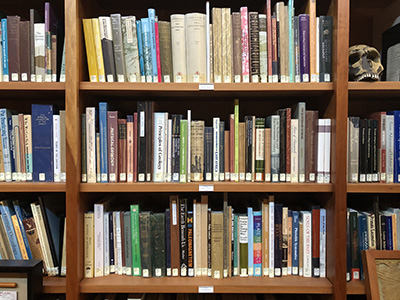 Bookshelf with books