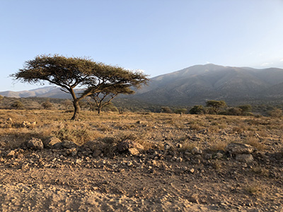 Lanscape at Olduvai Gorge